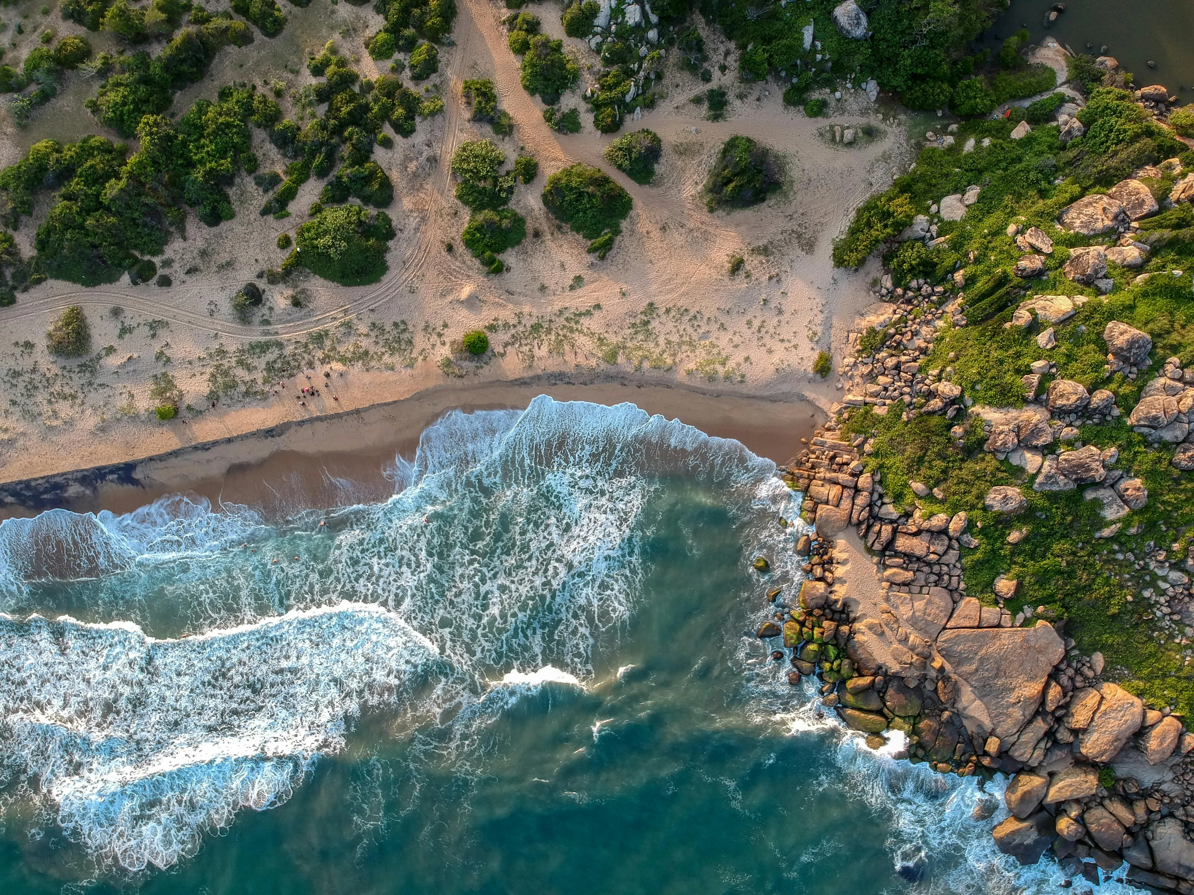 Best Times to Visit Sri Lanka