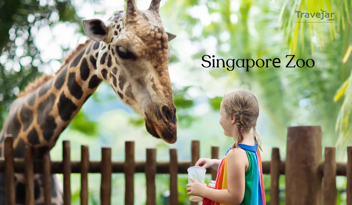Singapor? Zoo