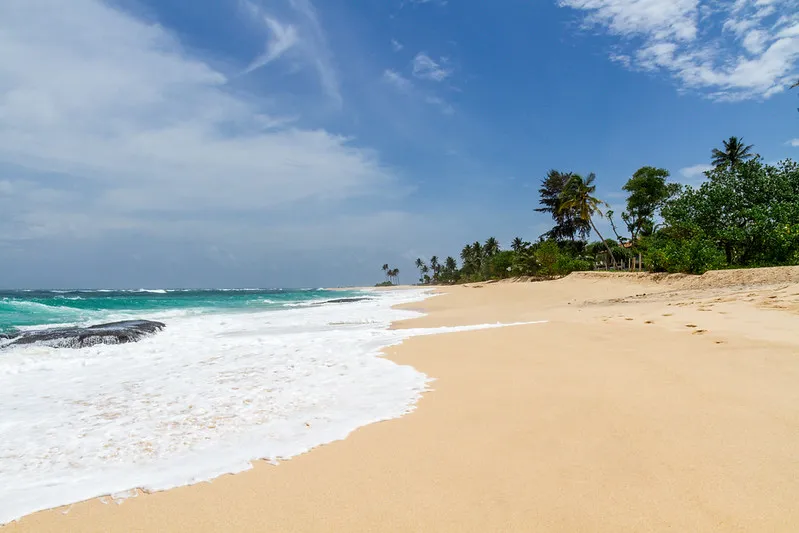 Mirissa Beach Sri Lanka