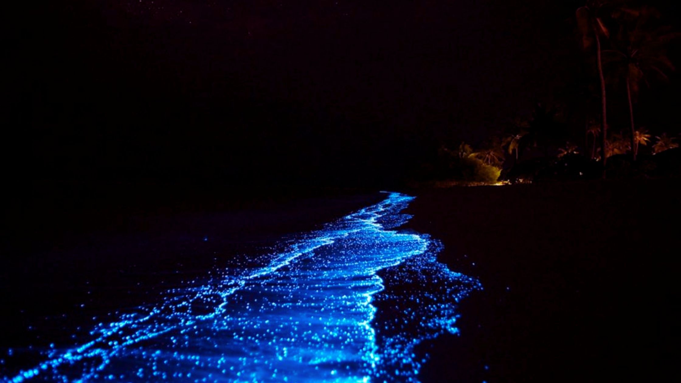 Maldives Glowing Beach, Maldives: Ticket Price, Best Time & Tips