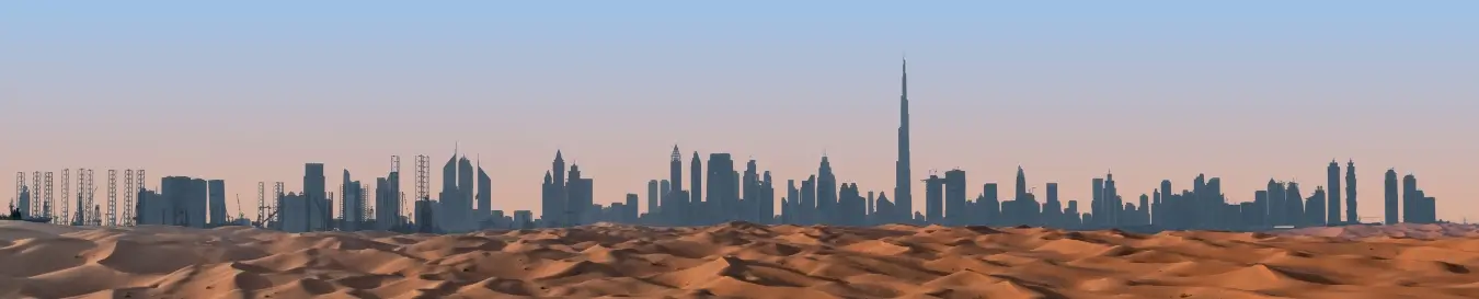 60 Days Multiple Entry Visa for Dubai
